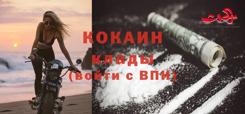 Cocaine Fish Scale  купить   Нижняя Тура 