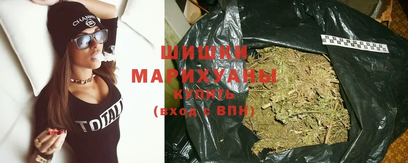 Каннабис SATIVA & INDICA  как найти закладки  Нижняя Тура 